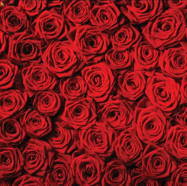 SHANNY Vinyl Digital Printed Backdrops for Photography Rose Valentine's Day theme Photo Studio Background SZ-83
SHANNY Vinyl Digital Printed Backdrops for Photography Rose Valentine's Day theme Photo Studio Background SZ-83