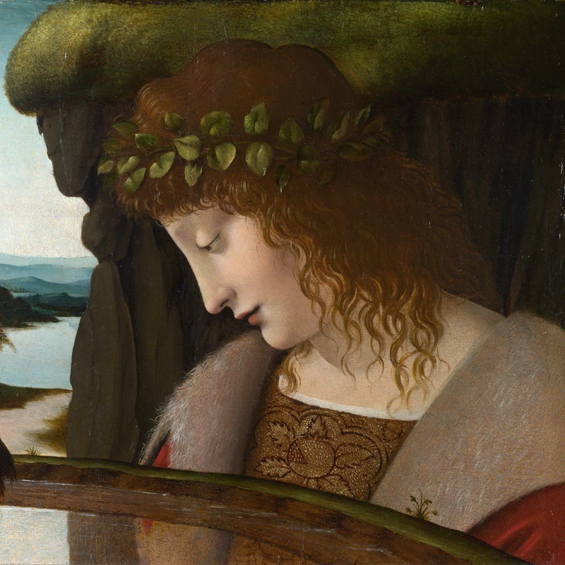 lady classical portrait poster painting portrait posters modern decoration masterpiece girl portrait by Leonardo Piero da Vinci
lady classical portrait poster painting portrait posters modern decoration masterpiece girl portrait by Leonardo Piero da Vinci