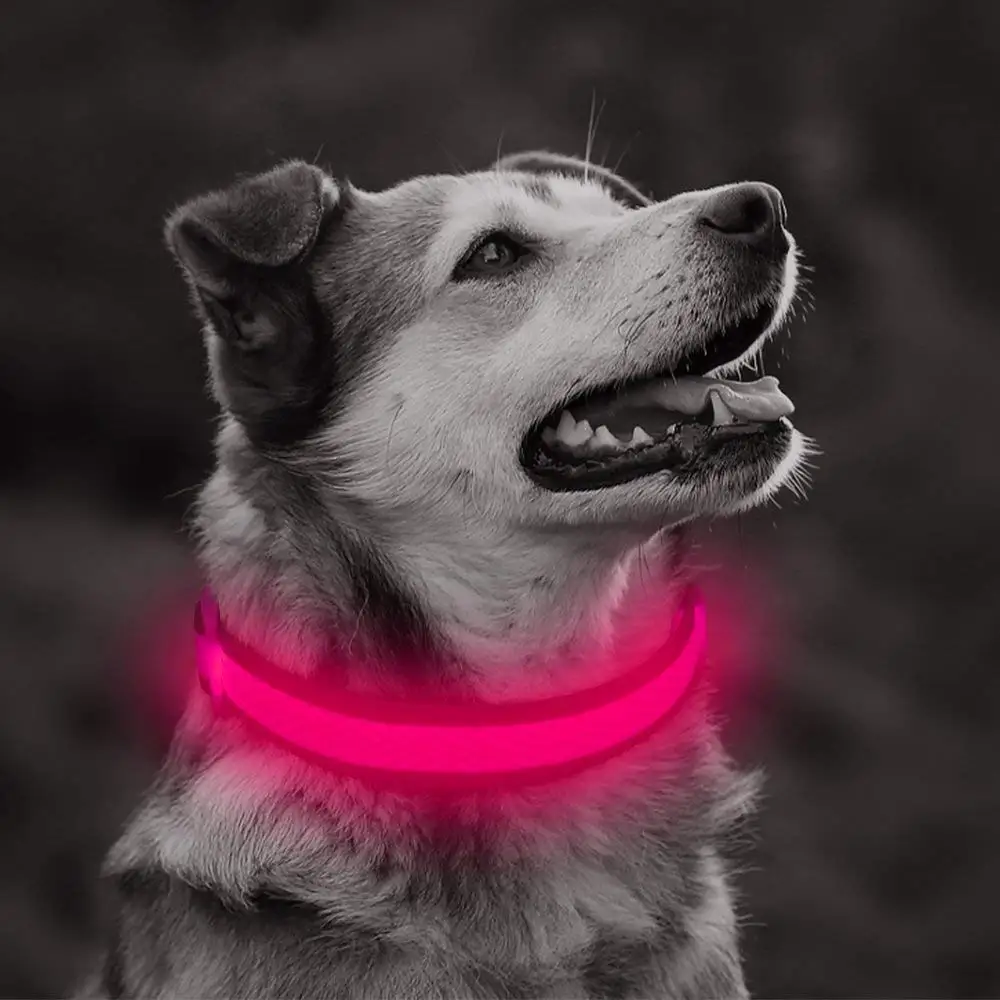 Нейлоновый собачий ошейник со светодиодной подсветкой светящийся в темноте для