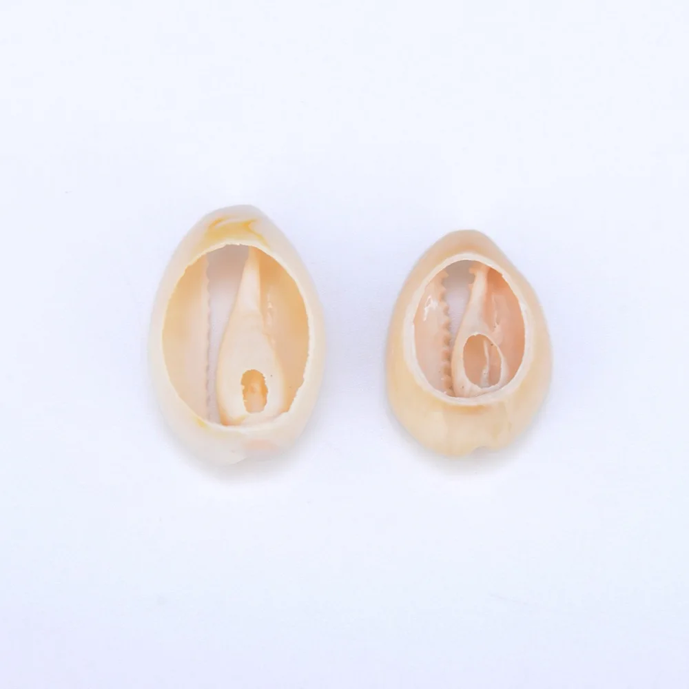 50pcs 1.8-2cm Small Bulk Cut Beach Sea Natural Shell Conch Beads Cowry Cowrie Tribal Jewelery Craft Accessories holes DIY PAT32 (1)