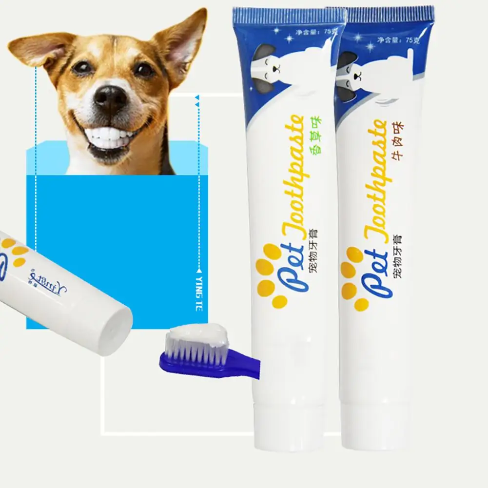 HOT SALE! Edible Harmless Dog Puppy Cat Teeth whitening Toothpaste Teeth Cleaning Care Oral Hygiene Pet Supplies
HOT SALE! Edible Harmless Dog Puppy Cat Teeth whitening Toothpaste Teeth Cleaning Care Oral Hygiene Pet Supplies