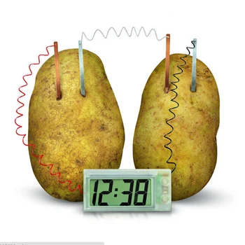 

Potato Clock Novel Green Science Project Experiment Kit Lab Home School Toy funny educational DIY material for children kids