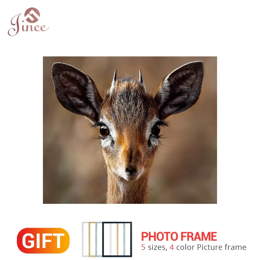 Full Square/Round Drill 5D DIY Diamond Painting Fawn Deer Animal 3D Embroidery Cross Stitch 5D Home Decor Gift With Frame
Full Square/Round Drill 5D DIY Diamond Painting Fawn Deer Animal 3D Embroidery Cross Stitch 5D Home Decor Gift With Frame