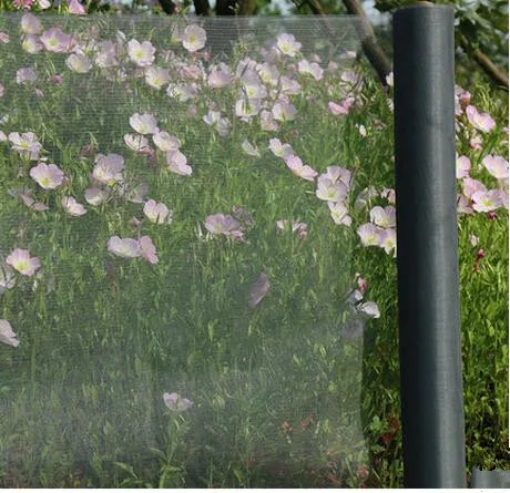 Glass fiber gauze Aluminum Alloy invisible mosquito screen window anti mosquito window simple encryption sand nylon screens
Glass fiber gauze Aluminum Alloy invisible mosquito screen window anti mosquito window simple encryption sand nylon screens