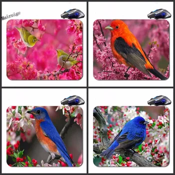 Mairuige Colorful Pajaros Custom Antislip High Definition Printing Gaming Rubber Mouse Pad Cheap Computer Desk Free Shipping
Mairuige Colorful Pajaros Custom Antislip High Definition Printing Gaming Rubber Mouse Pad Cheap Computer Desk Free Shipping