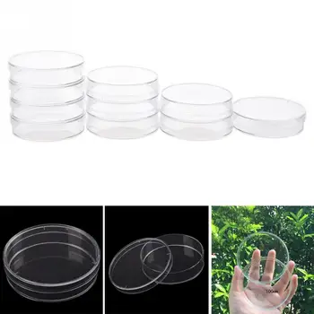 10pcs 55mm Disposable Plastic Petri Dishes Affordable For Cell Clear Sterile Chemical Instrument Teaching Tool Drop Shipping @
10pcs 55mm Disposable Plastic Petri Dishes Affordable For Cell Clear Sterile Chemical Instrument Teaching Tool Drop Shipping @
