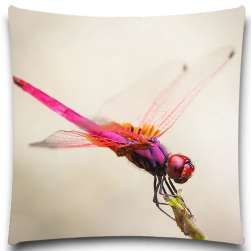 Red Blue Dragonfly Square Pillow Case Bedding Room Sofa Chair Home Hotel Decorative Cushion Cover 5 size 9 style
Red Blue Dragonfly Square Pillow Case Bedding Room Sofa Chair Home Hotel Decorative Cushion Cover 5 size 9 style