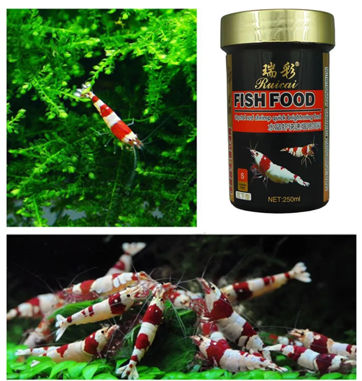 Professional shrimp and shrimp feed with probiotics, Tropical Fish Feed Benthic Fish Special Fish Ornamental Shrimp
Professional shrimp and shrimp feed with probiotics, Tropical Fish Feed Benthic Fish Special Fish Ornamental Shrimp