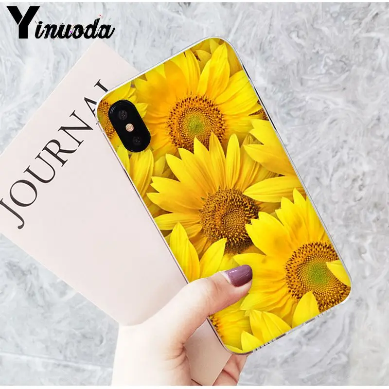 Yellow flower Small daisy sunflower