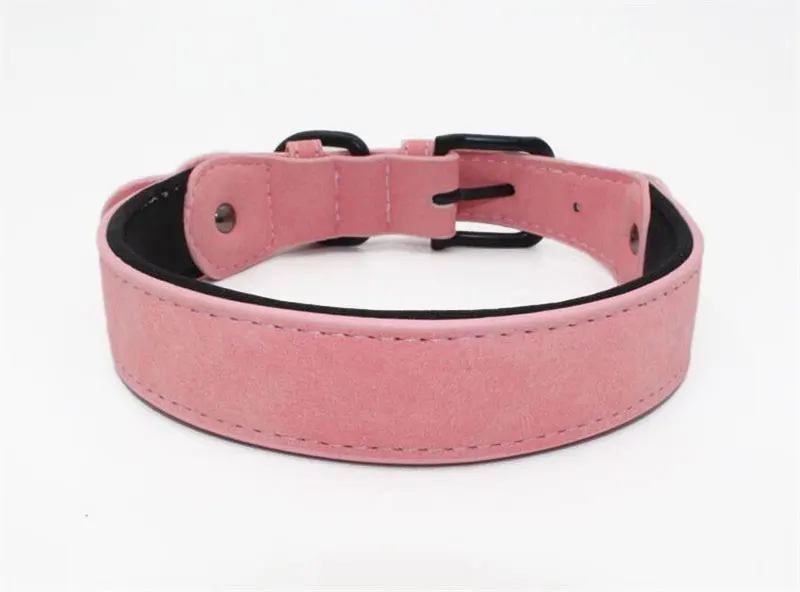 12 glowing dog collar