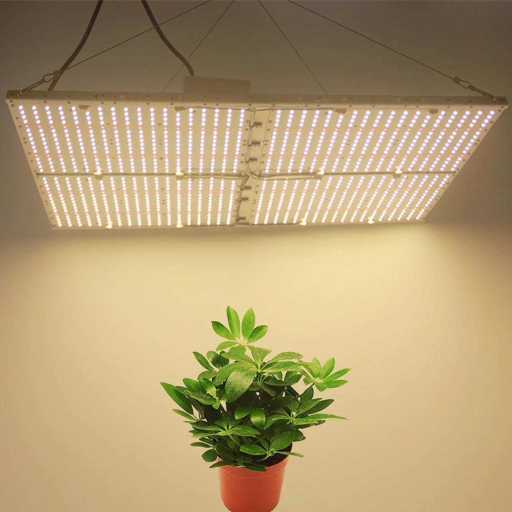 480W Led Grow Light Quantum Board Full Spectrum Samsung LM301B/LM561C S6 3000K/3500K Meanwell Driver DIY LED Plant Grow Light
480W Led Grow Light Quantum Board Full Spectrum Samsung LM301B/LM561C S6 3000K/3500K Meanwell Driver DIY LED Plant Grow Light