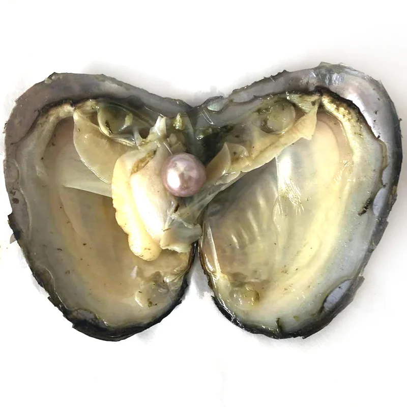 20pcs Single Natural Lavender 9-10mm Near Round Edison Pearl with Vacuum Packed Oyster Fresh Pearl in Oyster
20pcs Single Natural Lavender 9-10mm Near Round Edison Pearl with Vacuum Packed Oyster Fresh Pearl in Oyster