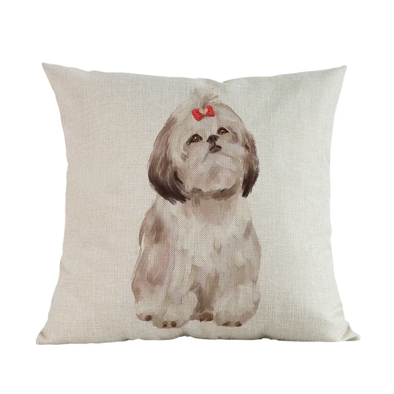 shihtzu
