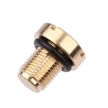 

Coolant Expansion Tank Bleeder Screw Brass Most Models for BMW E36 E39 E46 etc. Car-styling