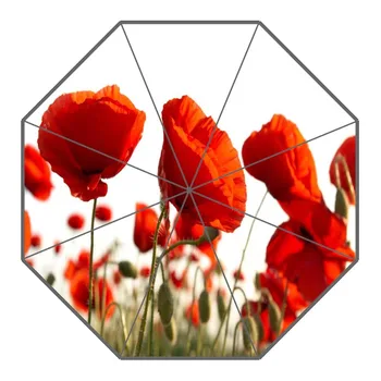 Custom Poppy Flower Umbrellas Polyester Fabric High Quality Sunny And Rainy Umbrella Non-Automatic Umbrella For Adults
Custom Poppy Flower Umbrellas Polyester Fabric High Quality Sunny And Rainy Umbrella Non-Automatic Umbrella For Adults