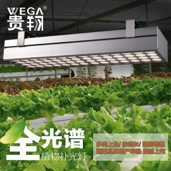 LED Grow Light at 1000 umol max. AC110-230V input
LED Grow Light at 1000 umol max. AC110-230V input