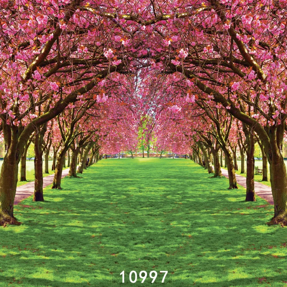 Spring Flower Tree Garden Path Photography Backdrops Backgrounds for Photo Studio Photo Shoot Vinyl Cloth Computer Printed 3D
Spring Flower Tree Garden Path Photography Backdrops Backgrounds for Photo Studio Photo Shoot Vinyl Cloth Computer Printed 3D