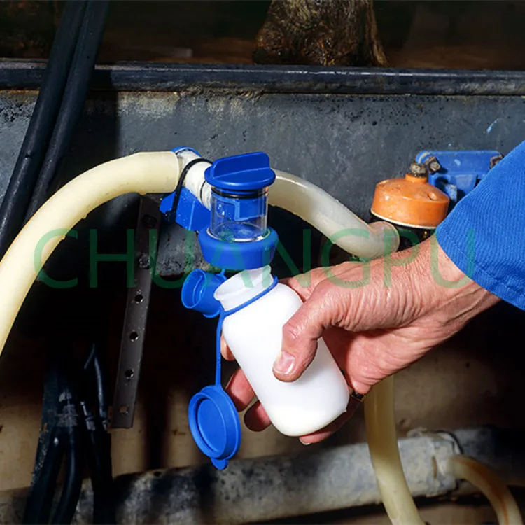Cow Milking Parlor Parts Milk Sampler, Milk Sample for Goat Herringbone Milking Parlor
Cow Milking Parlor Parts Milk Sampler, Milk Sample for Goat Herringbone Milking Parlor