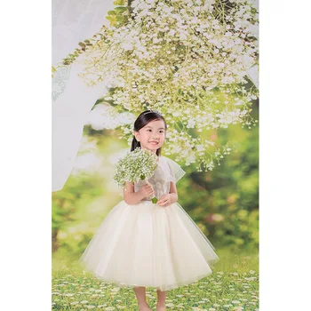Custom Background Vinyl Photography Backdrop Flower Lawn Newborn Birthday Party Children Backgrounds for Photo Studio SZ-1
Custom Background Vinyl Photography Backdrop Flower Lawn Newborn Birthday Party Children Backgrounds for Photo Studio SZ-1