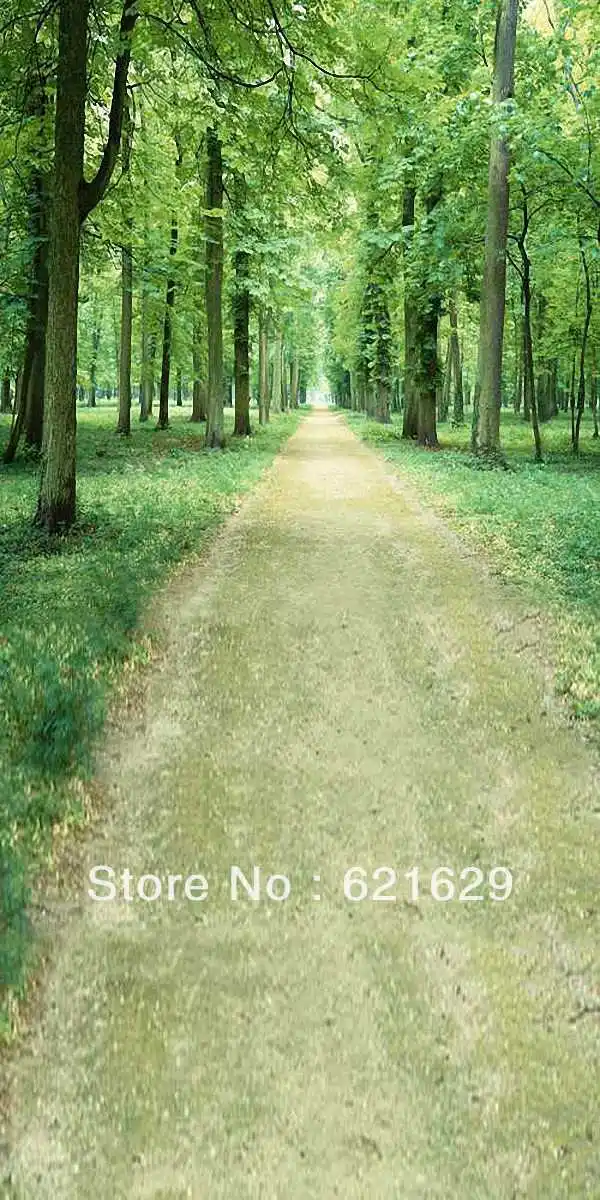 Lush woods 10'x20' CP Computer-painted Scenic Photography Background Photo Studio Backdrop ZJZ-149