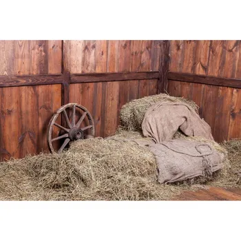 haystack Vinyl Photography Backdrop Thin fabric cloth Printed background Newborns Portrait Background Floor-623
haystack Vinyl Photography Backdrop Thin fabric cloth Printed background Newborns Portrait Background Floor-623