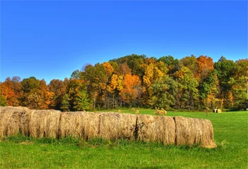 Laeacco Autumn Trees Grassland Hay Rolls Farm Scenic Photography Backgrounds Customized Photographic Backdrops For Photo Studio
Laeacco Autumn Trees Grassland Hay Rolls Farm Scenic Photography Backgrounds Customized Photographic Backdrops For Photo Studio
