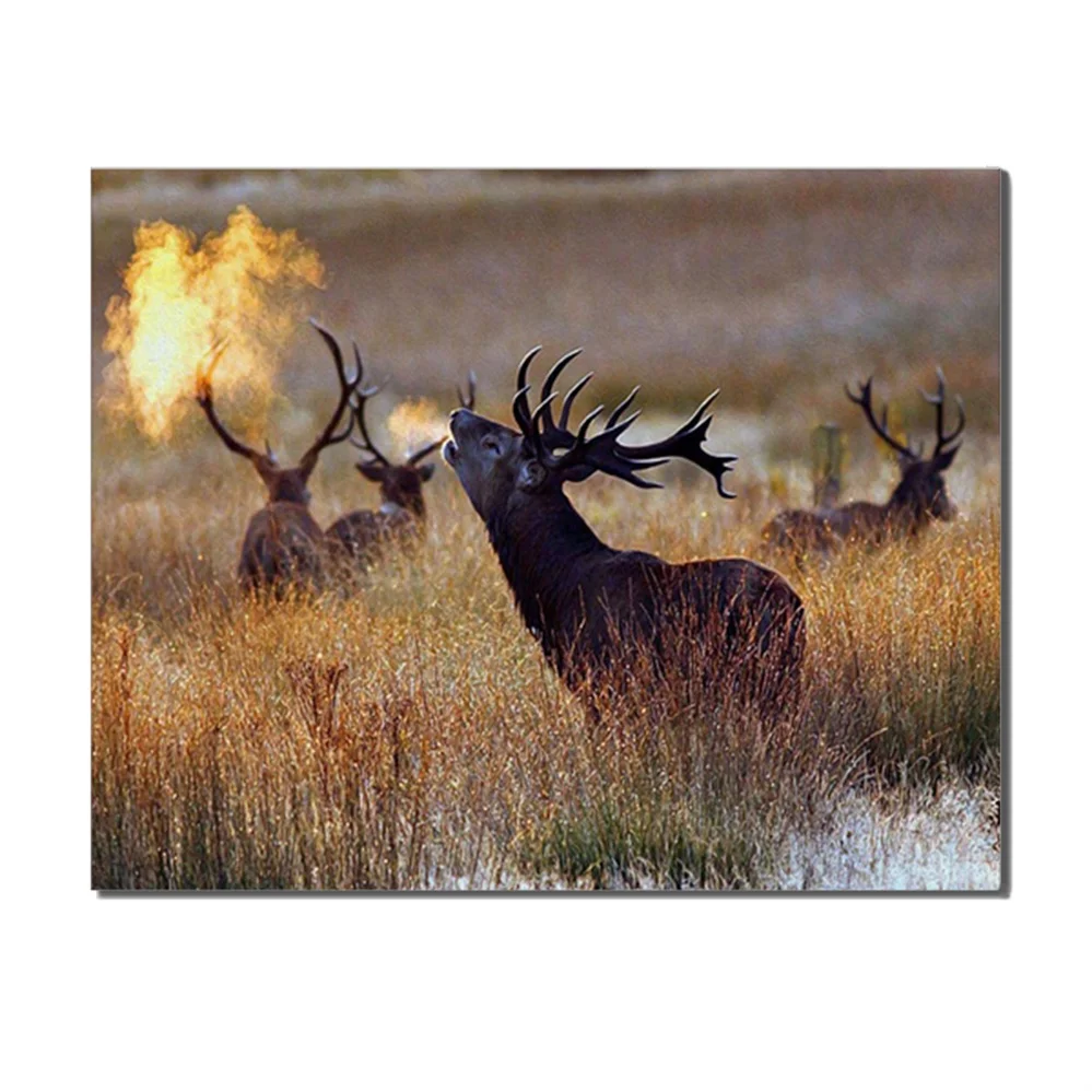 Abstract Modern Elks In Grassland Fire Natural Canvas Animals Wall Picture For Living Room Bedroom Decoration Cuadros Home Decor
Abstract Modern Elks In Grassland Fire Natural Canvas Animals Wall Picture For Living Room Bedroom Decoration Cuadros Home Decor