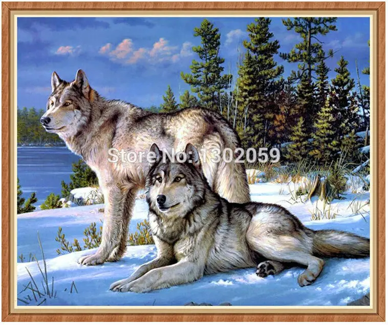 Available Two Wolf In Snow Needlework Embroidery Package Cross Stitch Kit Factory Sale
Available Two Wolf In Snow Needlework Embroidery Package Cross Stitch Kit Factory Sale