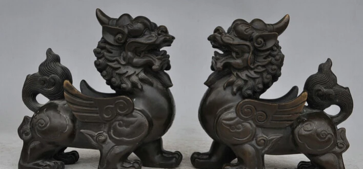S3660 China Chinese Pure Bronze Folk FengShui Unicorn Dragon Kylin Lion Statue Pair D0318
S3660 China Chinese Pure Bronze Folk FengShui Unicorn Dragon Kylin Lion Statue Pair D0318
