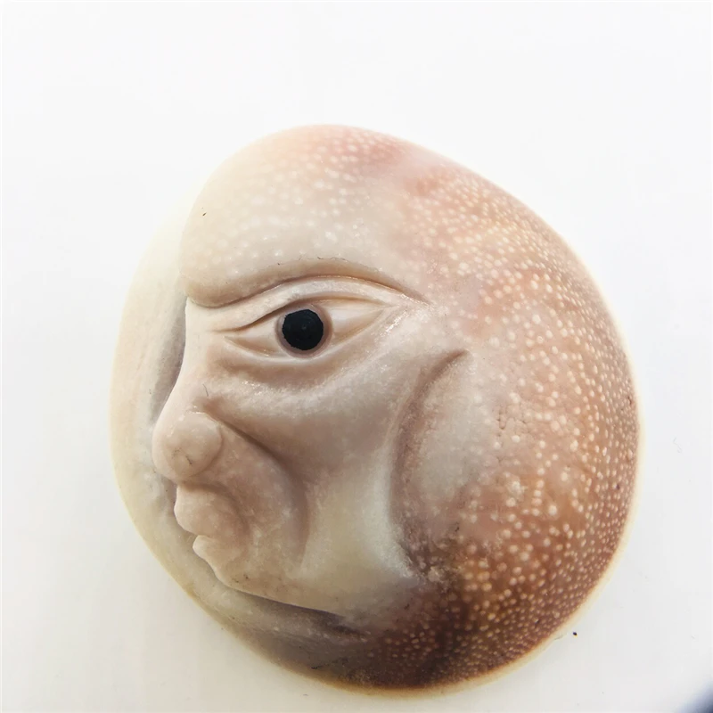 Unique 3.5cm rare natural quartz crystal skull Marine shell fossil handicraft collection
Unique 3.5cm rare natural quartz crystal skull Marine shell fossil handicraft collection