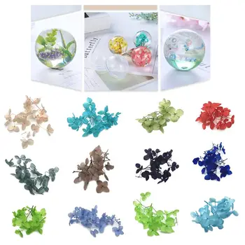 1 Box Dry Flower DIY Epoxy Resin Crafts Handmade Filling Materials Filler Dried Flowers Time Stone Jewelry Making Desk Decoratio
1 Box Dry Flower DIY Epoxy Resin Crafts Handmade Filling Materials Filler Dried Flowers Time Stone Jewelry Making Desk Decoratio