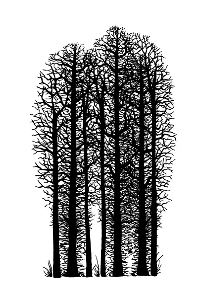 tree Transparent Clear Stamps for DIY Scrapbooking/Card Making/Kids Christmas Fun Decoration Supplies
tree Transparent Clear Stamps for DIY Scrapbooking/Card Making/Kids Christmas Fun Decoration Supplies
