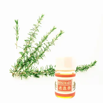 Love Thanks skin care essential Oil set 12 Kind 3ml Rosemary Aroma oil for Diffuser Humidifier
Love Thanks skin care essential Oil set 12 Kind 3ml Rosemary Aroma oil for Diffuser Humidifier
