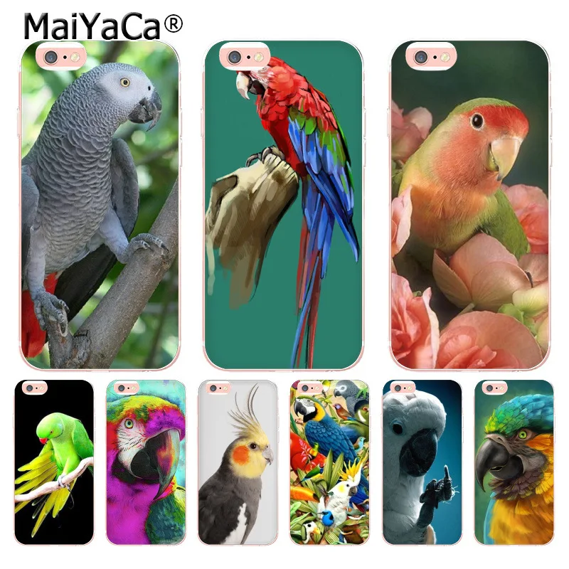 MaiYaCa Blue Ringneck Parrot Art Print Coque Phone Case for iphone 11 Pro XR XS Max 8 7 6 6S Plus X 5 5S SE Cover XS XR XSMAX
MaiYaCa Blue Ringneck Parrot Art Print Coque Phone Case for iphone 11 Pro XR XS Max 8 7 6 6S Plus X 5 5S SE Cover XS XR XSMAX