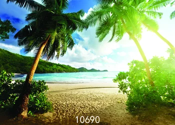 coconut palm tree on sandy beach Backgrounds for sale portrait cloth Computer printed hawaii backdrop
coconut palm tree on sandy beach Backgrounds for sale portrait cloth Computer printed hawaii backdrop