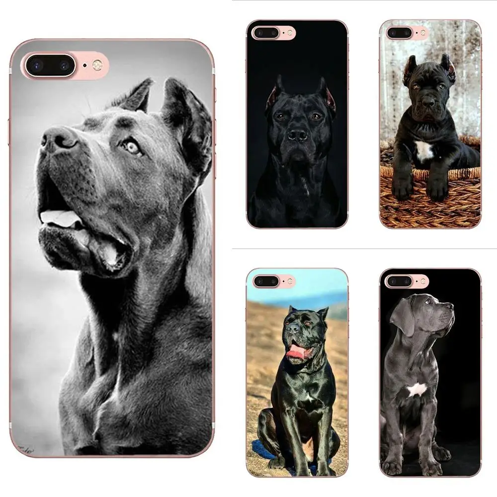 Italian Dogs Cane Corso Italian Mastiff For Galaxy Alpha Core Note 2 3 4 S2 A10 A20 A20E A30 A40 A50 A60 A70 M10 M20 M30
Italian Dogs Cane Corso Italian Mastiff For Galaxy Alpha Core Note 2 3 4 S2 A10 A20 A20E A30 A40 A50 A60 A70 M10 M20 M30