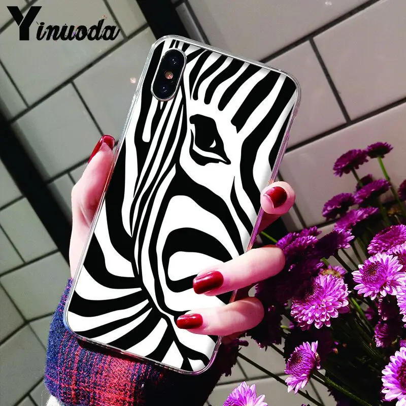 Animal Black white Zebra Stripe