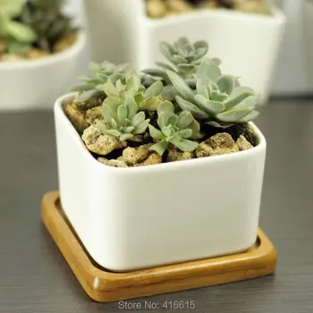 Simple White Square Large Ceramic Flower Pots with Bamboo Pot Tray Cute Desktop Decoration Succulent Planter Pottery Bonsai Pot
Simple White Square Large Ceramic Flower Pots with Bamboo Pot Tray Cute Desktop Decoration Succulent Planter Pottery Bonsai Pot