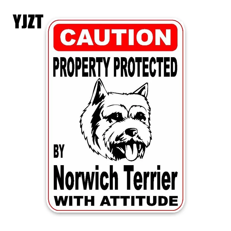 YJZT 10*14.2CM Property Protected By Norwich Terrier Dog Creative Fashion PVC Material Car Sticker C1-4745
YJZT 10*14.2CM Property Protected By Norwich Terrier Dog Creative Fashion PVC Material Car Sticker C1-4745