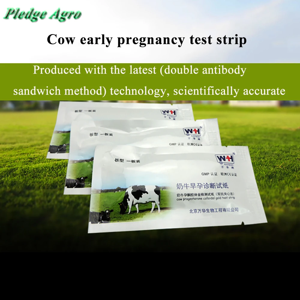 Pregnancy Test Strap Paper Cattle Cow Diagnostic Pregnant Detection Livestock Veterinary Veterinaria Instrumental disposable
Pregnancy Test Strap Paper Cattle Cow Diagnostic Pregnant Detection Livestock Veterinary Veterinaria Instrumental disposable