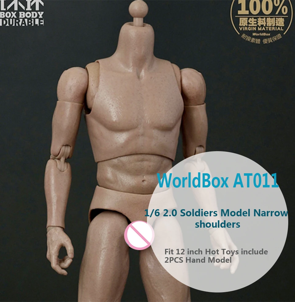 Worldbox 1//6 Scale 12/" AT011 Narrow shoulders Standard Male Body Fit HT Head