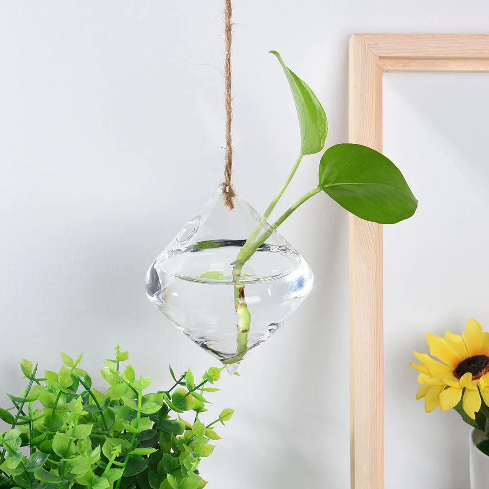 Hanging Glass Ball Vase Flower Plant Pot Terrarium Container Plant Bonsai Wedding Party Decor Decorative Crafts For bedroom
Hanging Glass Ball Vase Flower Plant Pot Terrarium Container Plant Bonsai Wedding Party Decor Decorative Crafts For bedroom