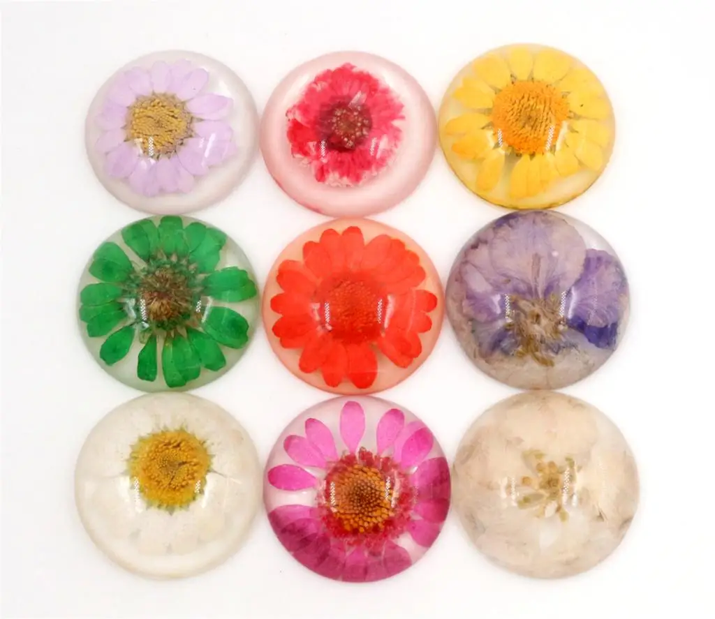 

New Fashion 5pcs 25mm Mixed Color Natural Dried Flowers Flat Back Resin Cabochons Cameo G3-26