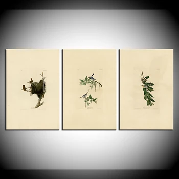Canvas Painting green plant and birds Nordic Minimalism Posters Pictures Wall Art Modular Wallpapers For Living Room Decor
Canvas Painting green plant and birds Nordic Minimalism Posters Pictures Wall Art Modular Wallpapers For Living Room Decor