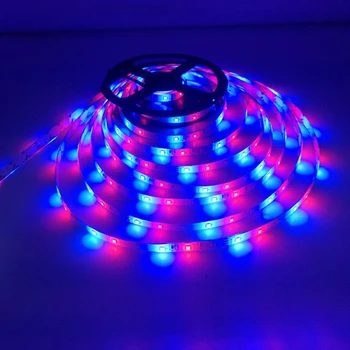 Strip Light 5m Colorful RGB 24 Key Remote Controller SMD 5050 Flexible Tape diode ribbon Controller adapter set lamp
Strip Light 5m Colorful RGB 24 Key Remote Controller SMD 5050 Flexible Tape diode ribbon Controller adapter set lamp