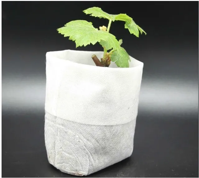 wholesale 200 pcs plant-fiber Nursery Pots Seedling-raising bags Garden Supplies Can degrade Environmental protection 8*10
wholesale 200 pcs plant-fiber Nursery Pots Seedling-raising bags Garden Supplies Can degrade Environmental protection 8*10