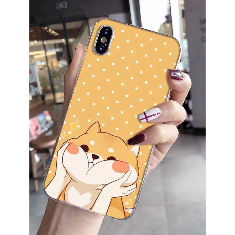 Cat Cartoon Cute Mouse Pig Cats Dog