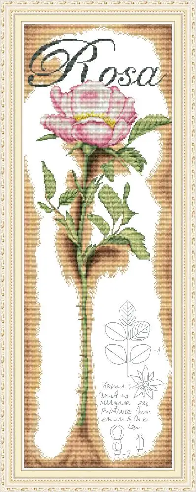 A pink rose cross stitch kit aida 14ct 11ct count print canvas cross stitches needlework embroidery DIY handmade
A pink rose cross stitch kit aida 14ct 11ct count print canvas cross stitches needlework embroidery DIY handmade