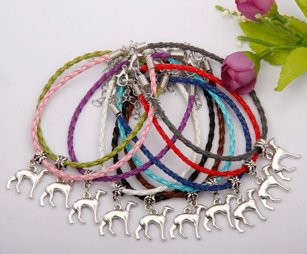 Fashion Jewelry Vintage Silver Poodles Animals Charm Multicolor Braided Rope Protection Bracelets Bracelet Women Gift 50pcs E212
Fashion Jewelry Vintage Silver Poodles Animals Charm Multicolor Braided Rope Protection Bracelets Bracelet Women Gift 50pcs E212