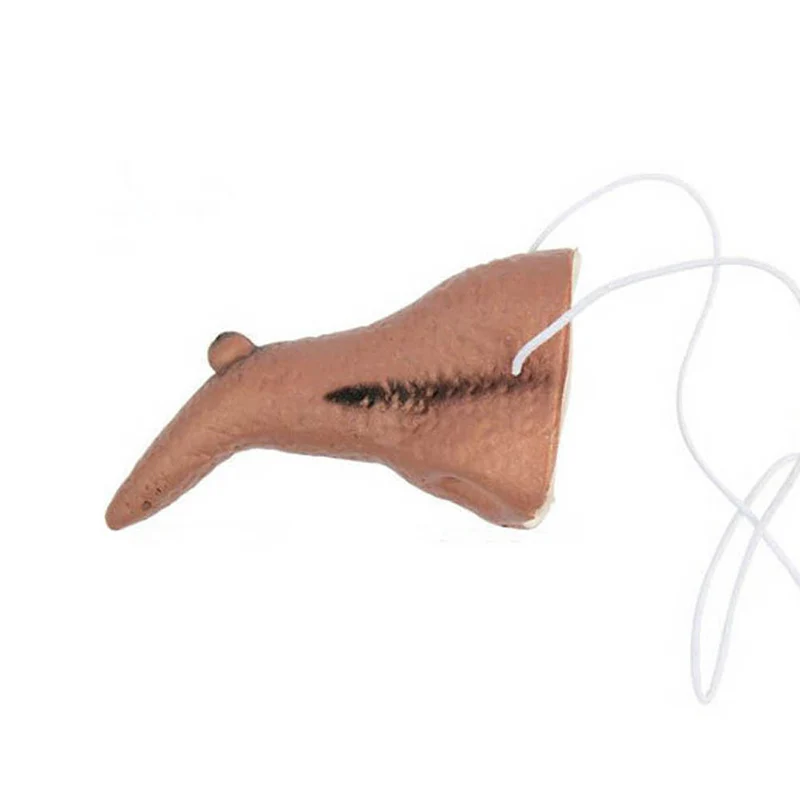 Dropshipping Halloween Accessory Witch Long Nose Hole Costume Accessory for Party Halloween Carnivals MDP66
Dropshipping Halloween Accessory Witch Long Nose Hole Costume Accessory for Party Halloween Carnivals MDP66